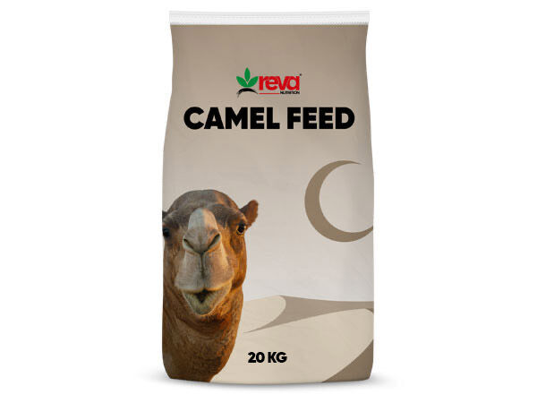 Alimentación de camellos
