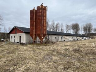 Hönshus/Ladugård 90 x 11 meter granja